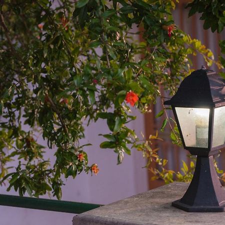 Filippa'S Katoi Daire Drymon Dış mekan fotoğraf